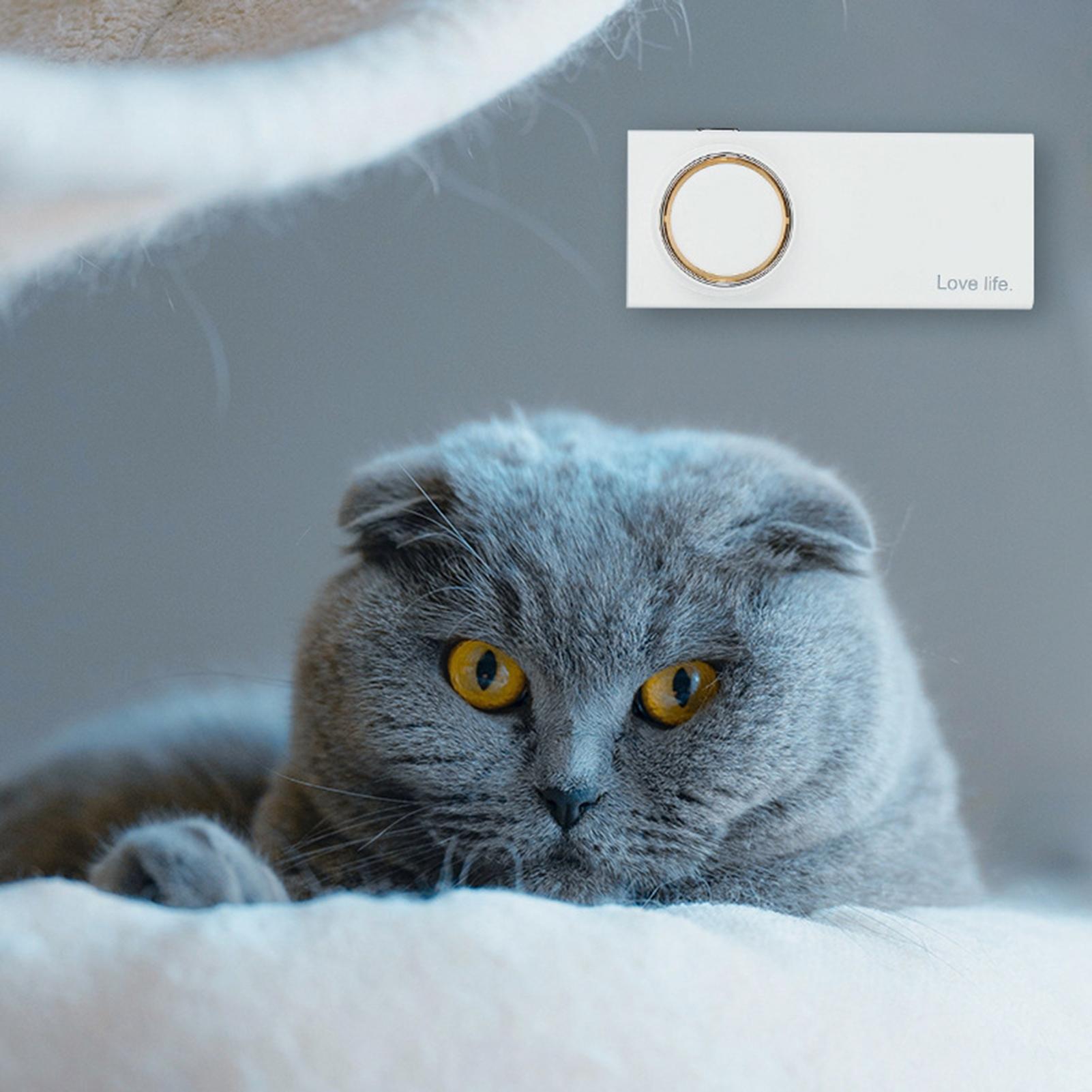 Fridge Odor Eliminator Cabinet - Kitchen Gadgets Cabinet recension och pris