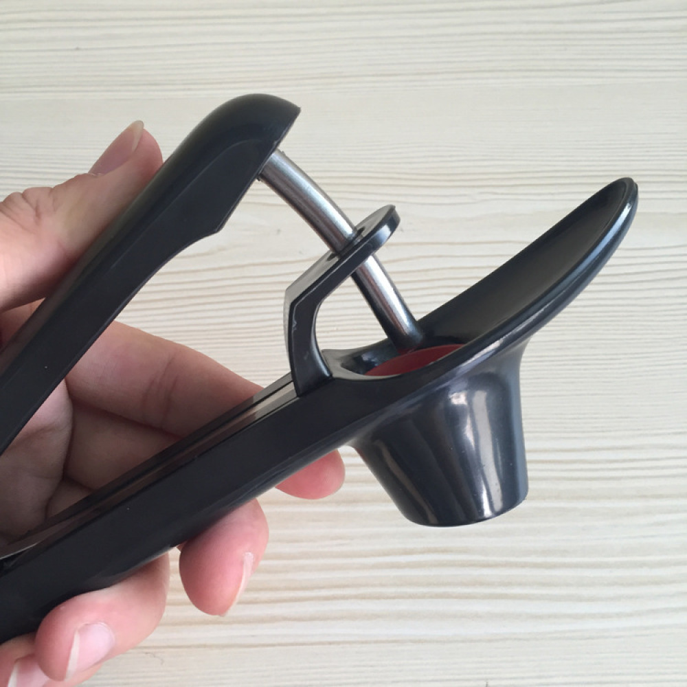 Manual Fruit Pitter Stainless  - Cherry Pitter Tool recension och pris