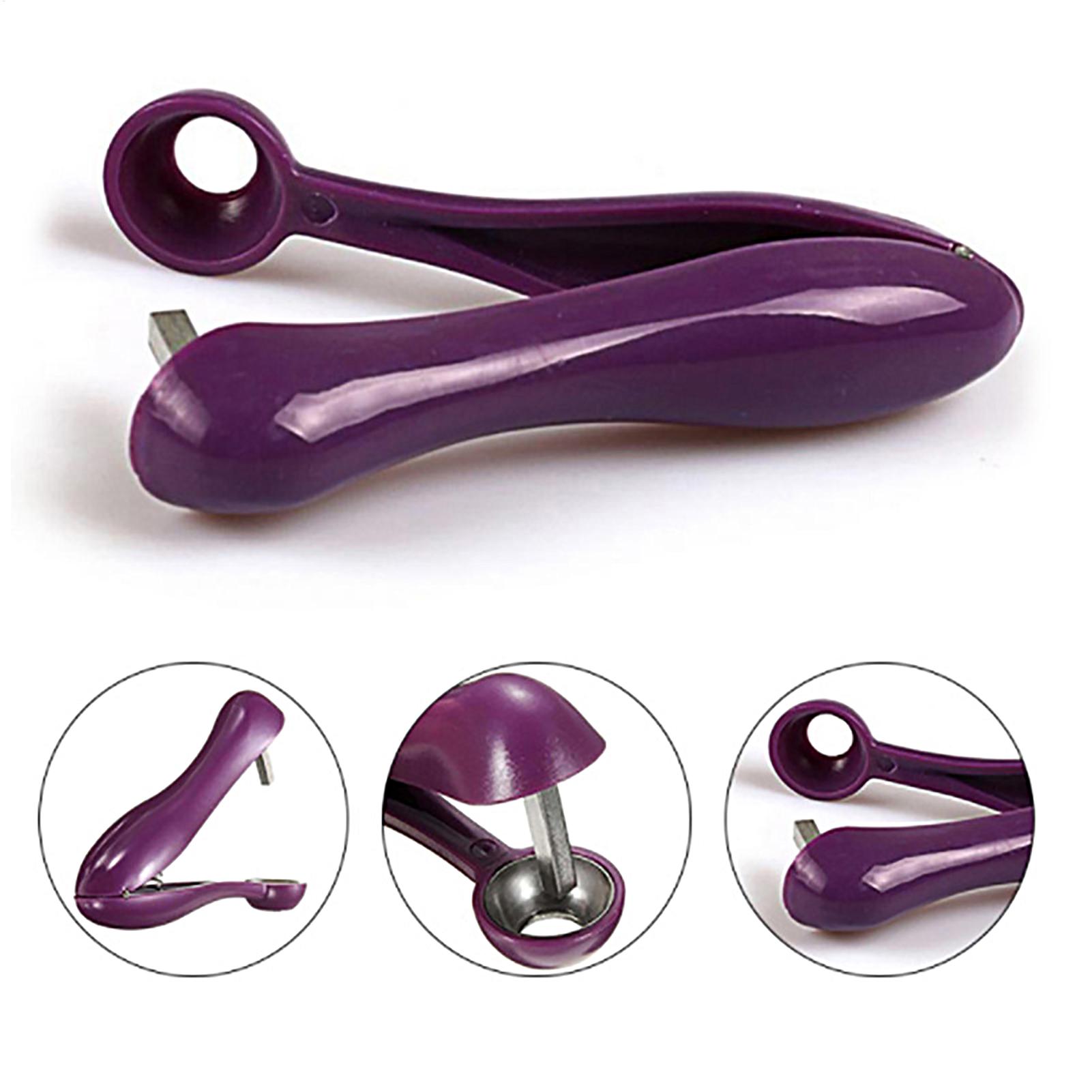 Portable Cherry Fruit Kitchen  - Cherry Pitter Tool recension och pris