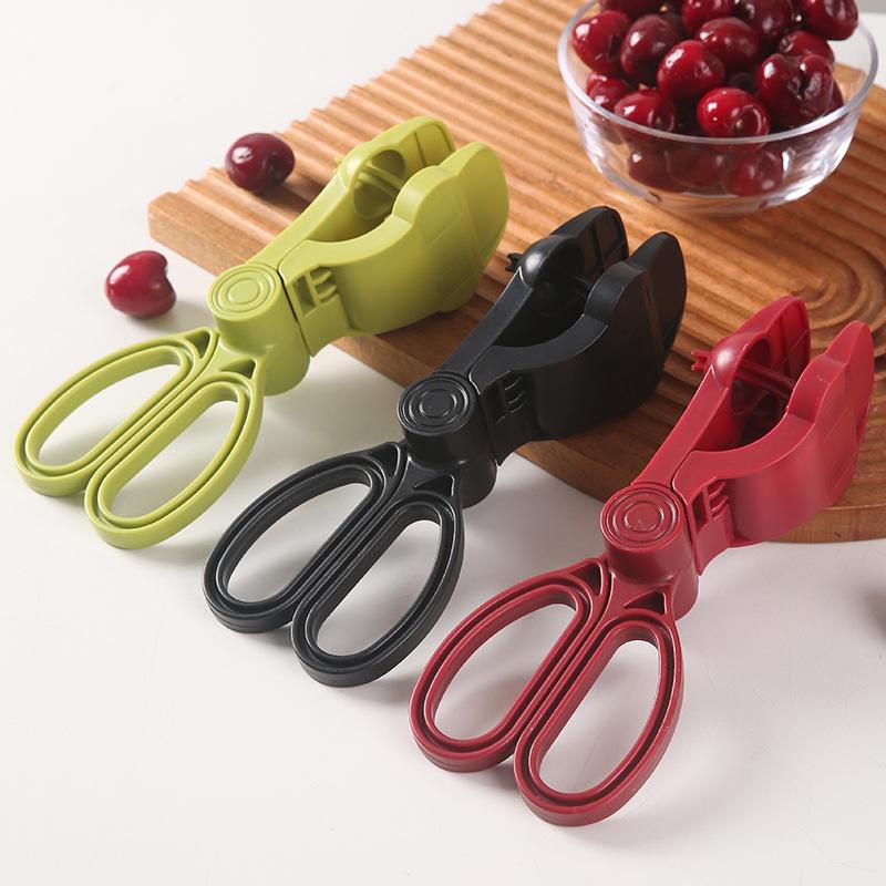 Ergonomic Handle Cherry Pit Re - Cherry Pitter Tool recension och pris